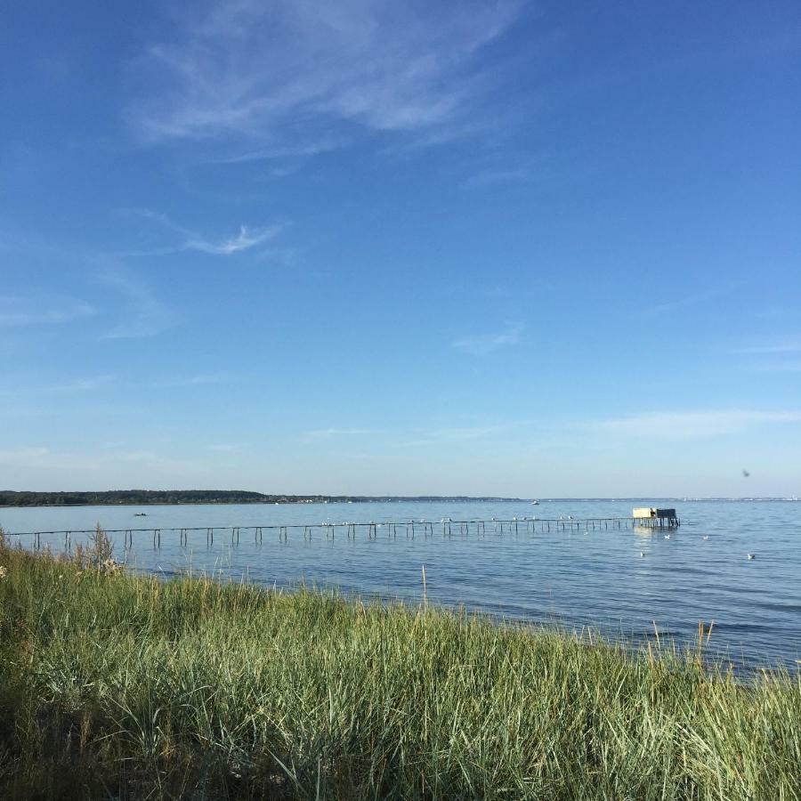Mikkelborg B&B Horsholm Bagian luar foto
